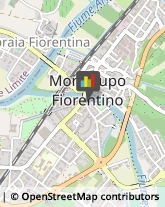 Locande e Camere Ammobiliate Montelupo Fiorentino,50056Firenze