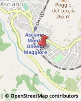 Agriturismi Asciano,53041Siena