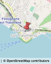 Vini e Spumanti - Produzione e Ingrosso Passignano sul Trasimeno,06065Perugia