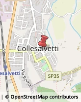 Alimentari Collesalvetti,57014Livorno