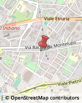 Consulenza di Direzione ed Organizzazione Aziendale Firenze,50143Firenze