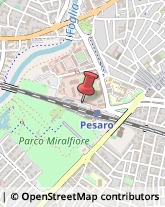 Trasporto Pubblico,61121Pesaro e Urbino