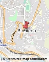 Biblioteche Private e Pubbliche Bibbiena,52011Arezzo