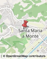 Autobus, Minibus e Filobus Santa Maria a Monte,56020Pisa