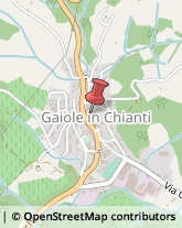Artigianato Tipico Gaiole in Chianti,53013Siena