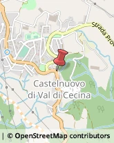 Associazioni ed Istituti di Previdenza ed Assistenza Castelnuovo di Val di Cecina,56041Pisa