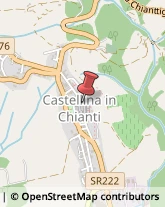 Rosticcerie e Salumerie Castellina in Chianti,53011Siena