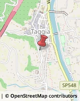 Servizi Igienici - Noleggio Taggia,18018Imperia