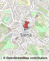 Alberghi Siena,53100Siena