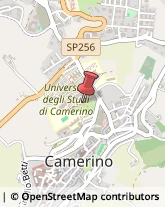 Informatica - Scuole Camerino,62032Macerata