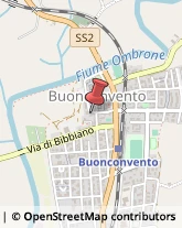 ,53022Siena