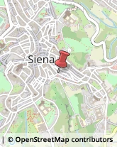 Vendite per Corrispondenza Siena,53100Siena