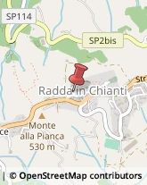 Alimenti Dietetici - Dettaglio Radda in Chianti,53017Siena