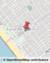 Borse - Dettaglio Forte dei Marmi,55042Lucca