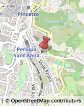 Associazioni di Volontariato e di Solidarietà,06121Perugia