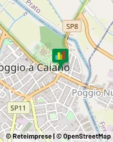 ,59016Prato