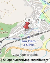 ,50037Firenze