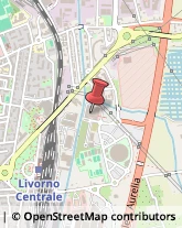 Riproduzione Disegni - Servizio,57121Livorno