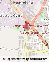 Pubblicità - Articoli ed Oggetti Ancona,60131Ancona