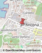 Ordini e Collegi Professionali Ancona,60122Ancona