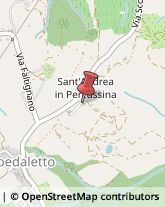 Associazioni ed Organizzazioni Religiose San Casciano in Val di Pesa,50026Firenze