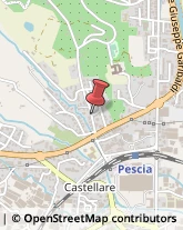 Alimentari Pescia,51017Pistoia