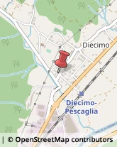 ,55023Lucca