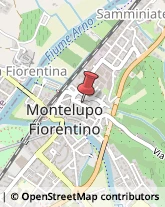 Case di Riposo e Istituti di Ricovero per Anziani Montelupo Fiorentino,50056Firenze