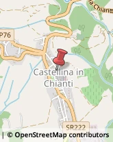 Banche e Istituti di Credito Castellina in Chianti,53011Siena