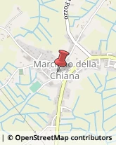 Associazioni di Volontariato e di Solidarietà Marciano della Chiana,52047Arezzo