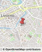 Agenzie di Animazione e Spettacolo Livorno,57125Livorno
