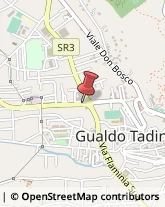 Trasporti Gualdo Tadino,06023Perugia