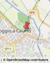 Abbigliamento,59016Prato