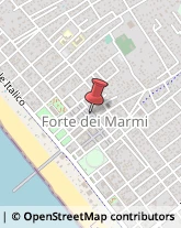 Forni Industriali Forte dei Marmi,55042Lucca