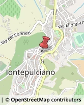 Formaggi e Latticini - Dettaglio Montepulciano,53045Siena