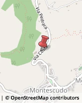 Erboristerie Montescudo Monte Colombo,47854Rimini