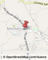 Autotrasporti Montecosaro,62010Macerata