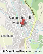 Stazioni di Servizio e Distribuzione Carburanti Barberino di Mugello,50031Firenze