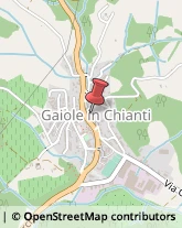 Abbigliamento Gaiole in Chianti,53013Siena