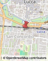 Scuole e Corsi di Lingua Lucca,55100Lucca
