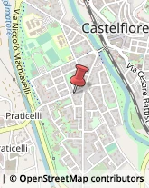 Agenzie Ippiche e Scommesse Castelfiorentino,50051Firenze