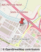 Pelletterie - Dettaglio Sesto Fiorentino,50019Firenze