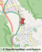 Pneumatici - Commercio Cantiano,61044Pesaro e Urbino