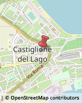 Carte da Gioco Castiglione del Lago,06061Perugia