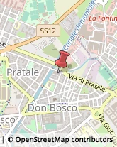 Articoli per Ortopedia Pisa,56100Pisa