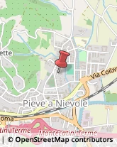 Palestre e Centri Fitness Pieve a Nievole,51018Pistoia