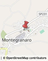Ristoranti Montegranaro,63812Fermo