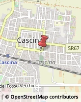 Assicurazioni Cascina,56021Pisa