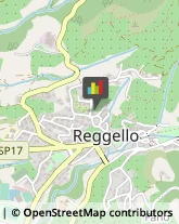 Società di Ingegneria Reggello,50066Firenze