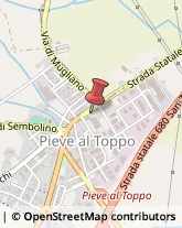 ,52041Arezzo